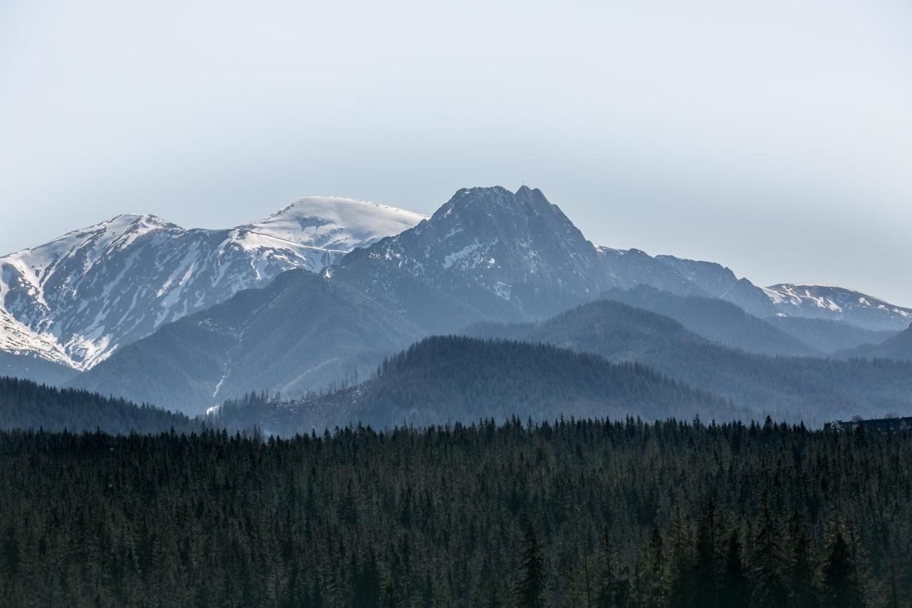 Отели типа «постель и завтрак» Willa Karpatia Ski&SPA Мужасихле